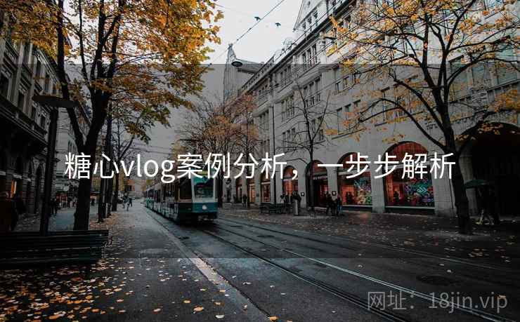 糖心vlog案例分析，一步步解析